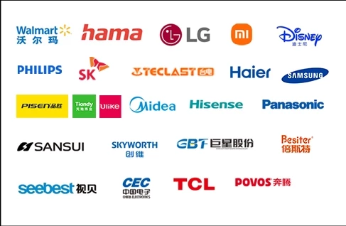 Cooperated with Fortune 500+