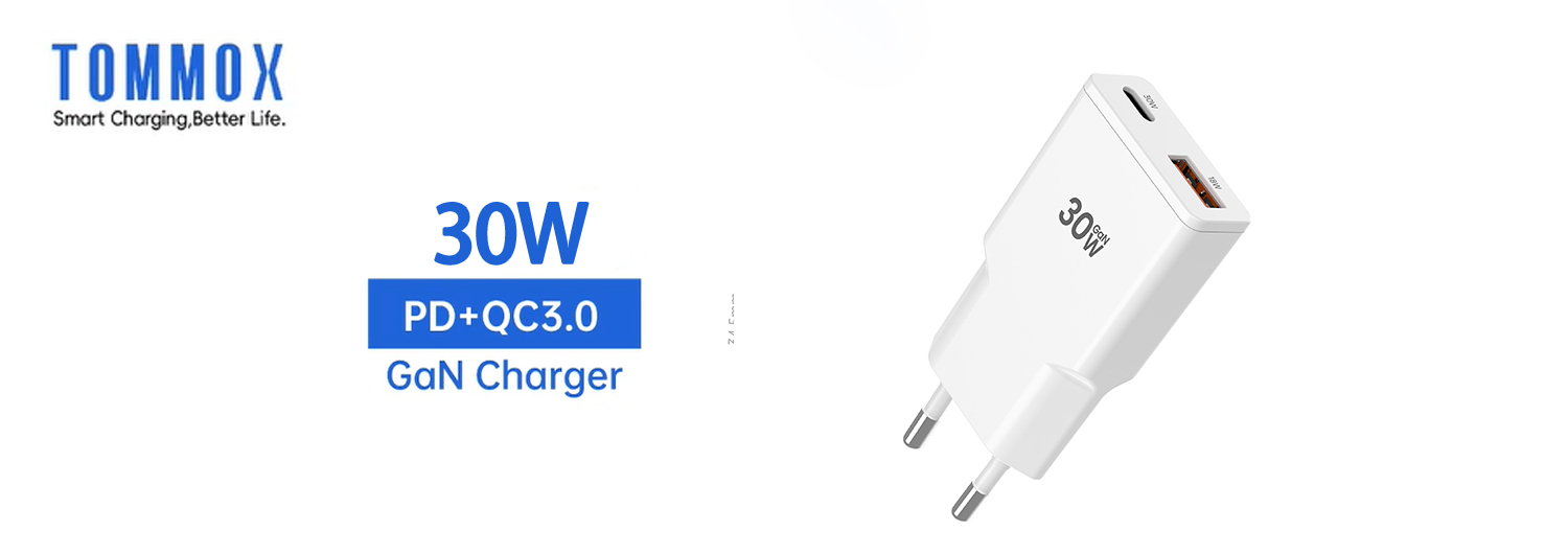 30W 1C1A Double USB Wall Slim GaN Ultra Thin IPhone Android Charger Factory